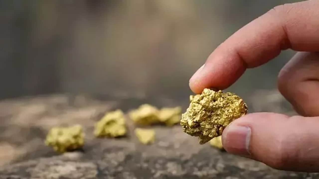 Foto - Büyük bir altın yatağı keşfedildi! Maalesef yabancılar buldu, her yerden fışkırıyor