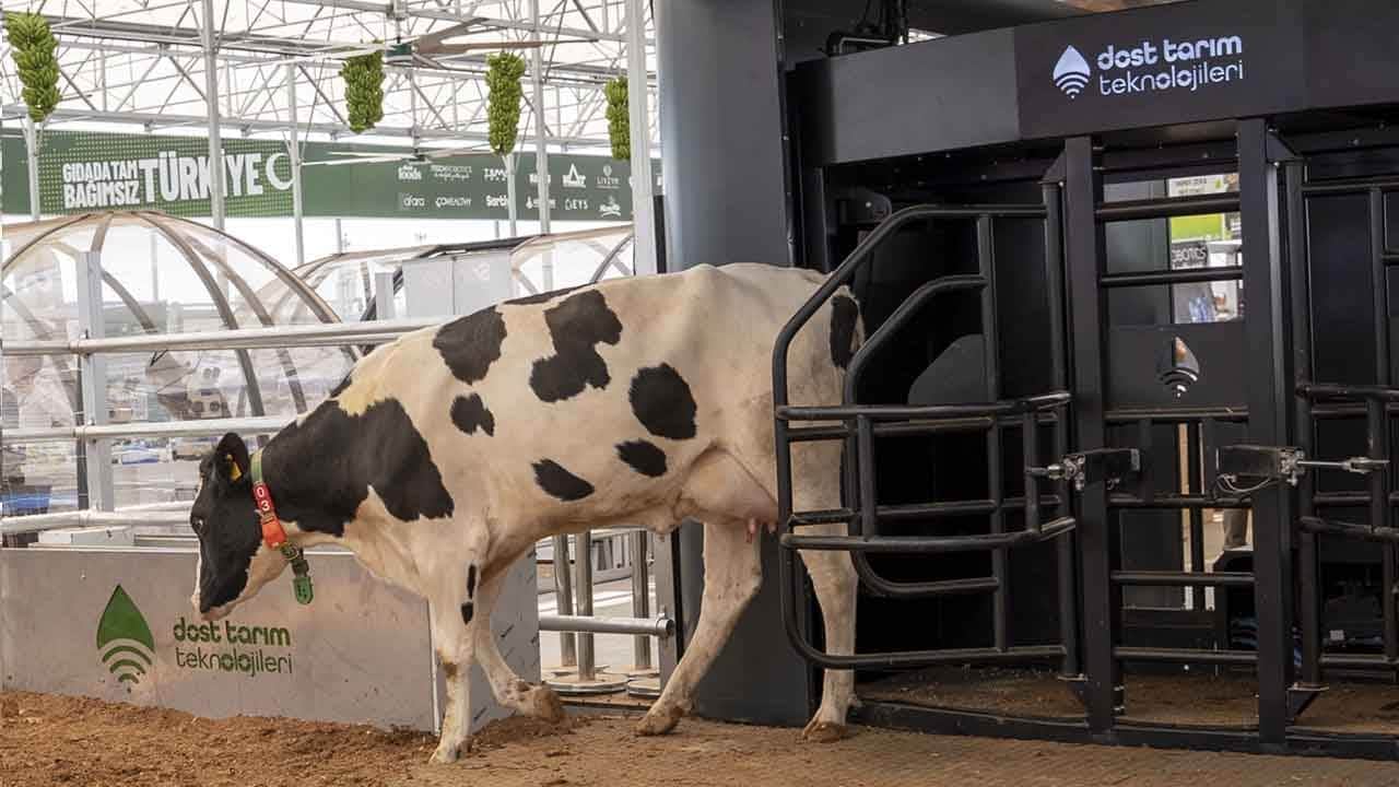 Foto - Yerli, milli ve otonom robot geliyor: Süt sağımında müthiş teknoloji