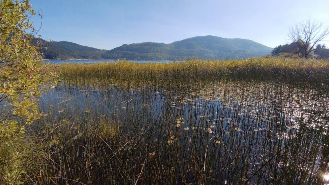 Foto - Yerli yabancı turistler doldurdu Abant, hafta sonu ziyaretçi akının uğradı