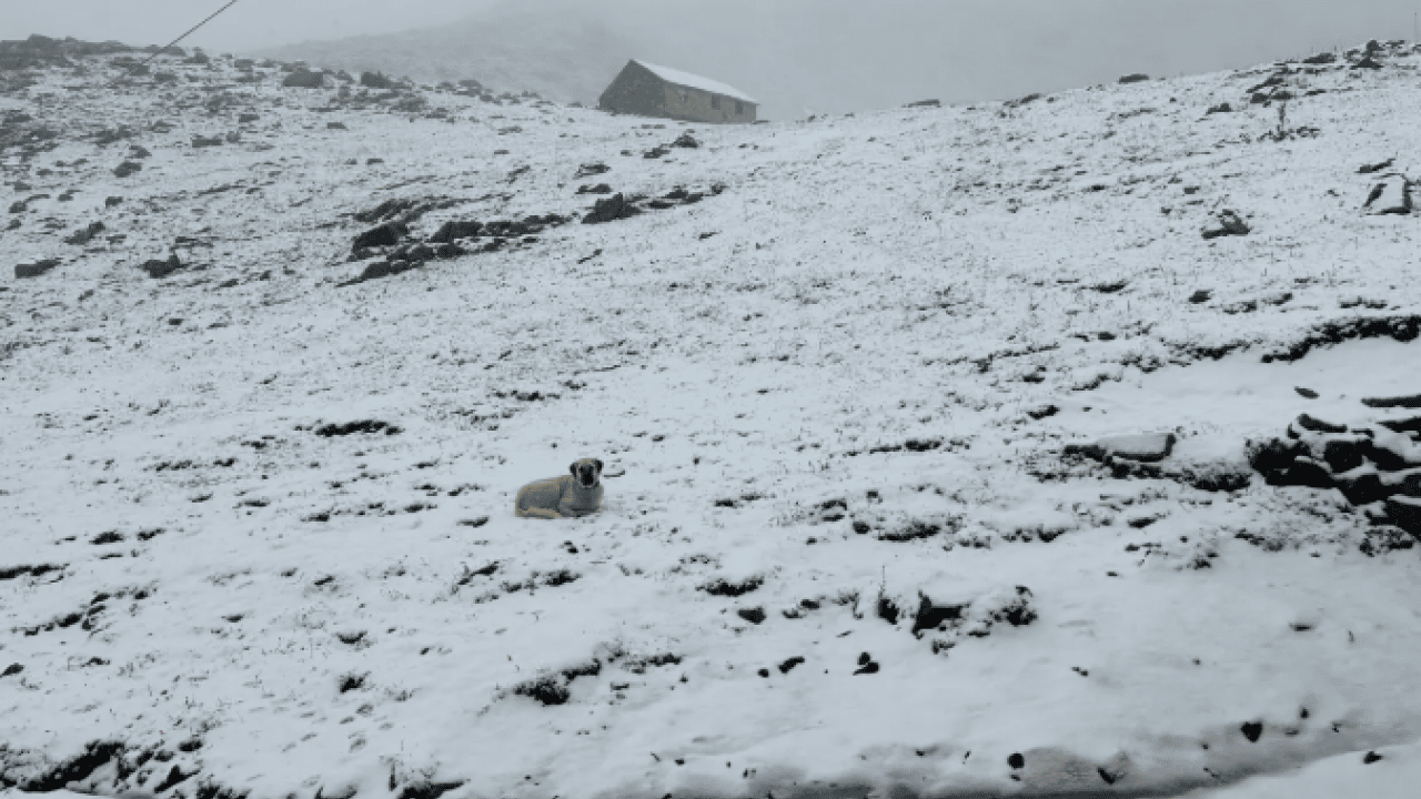 Foto - Yılın ilk karı lapa lapa yağdı: O il beyaza büründü
