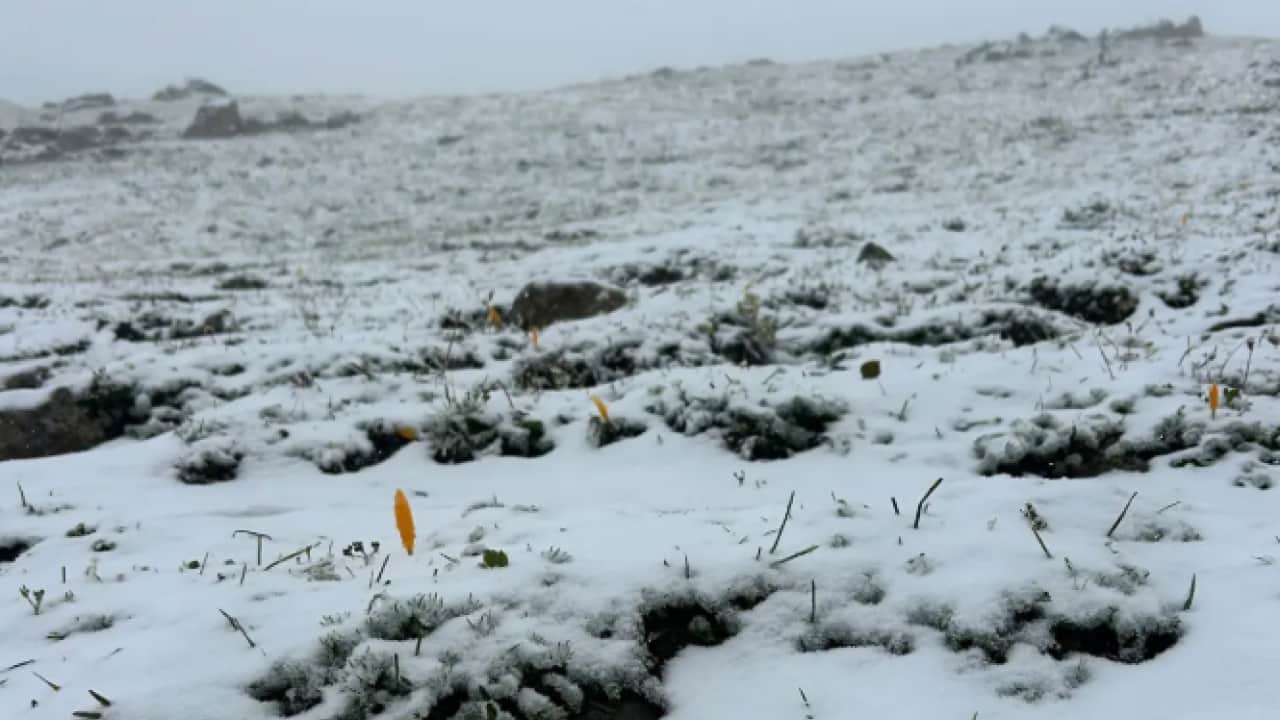 Foto - Yılın ilk karı lapa lapa yağdı: O il beyaza büründü