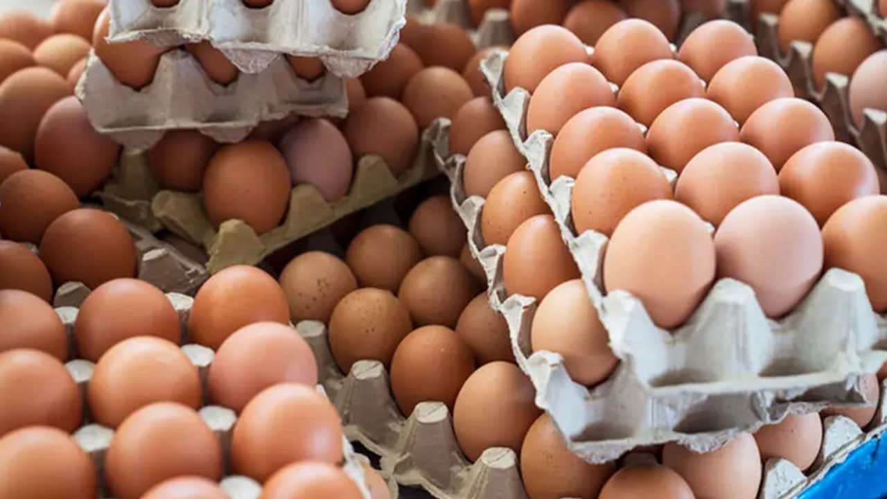 Foto - Yiyen 318 kişi hastalandı marketlerden toplatılıyor: Yumurta yemeyin uyarı yapıldı