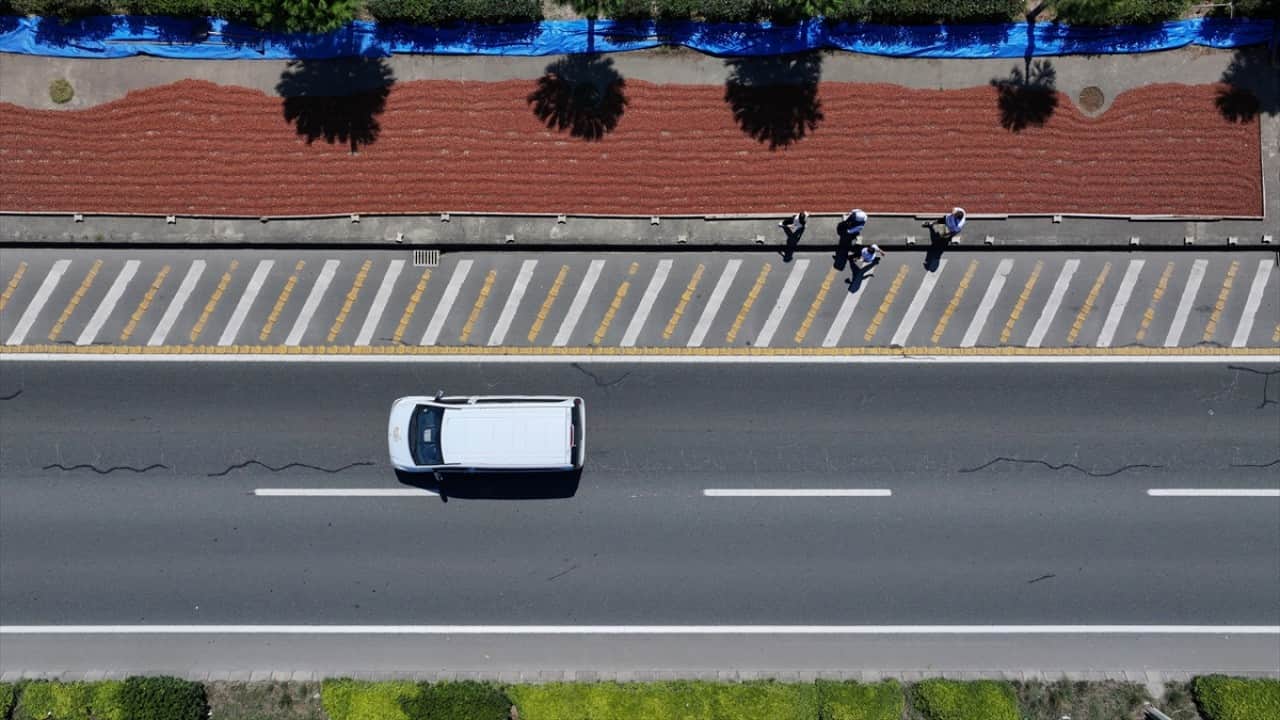 Foto - Yol kenarları işgal altında Karadeniz sahil yolunda fındık mesaisi