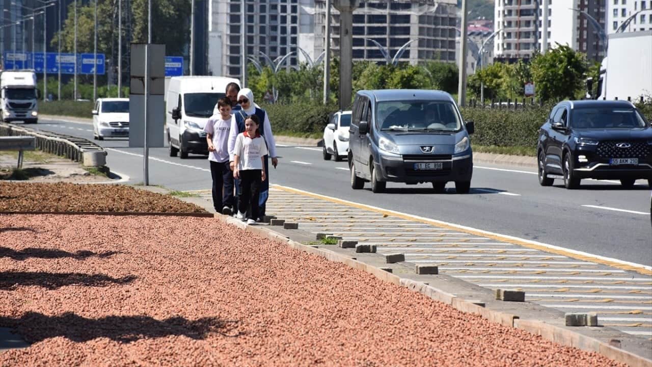Foto - Yol kenarları işgal altında Karadeniz sahil yolunda fındık mesaisi