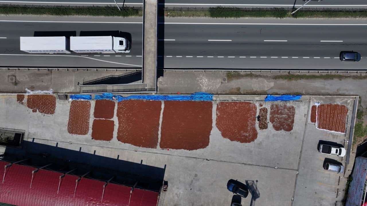 Foto - Yol kenarları işgal altında Karadeniz sahil yolunda fındık mesaisi