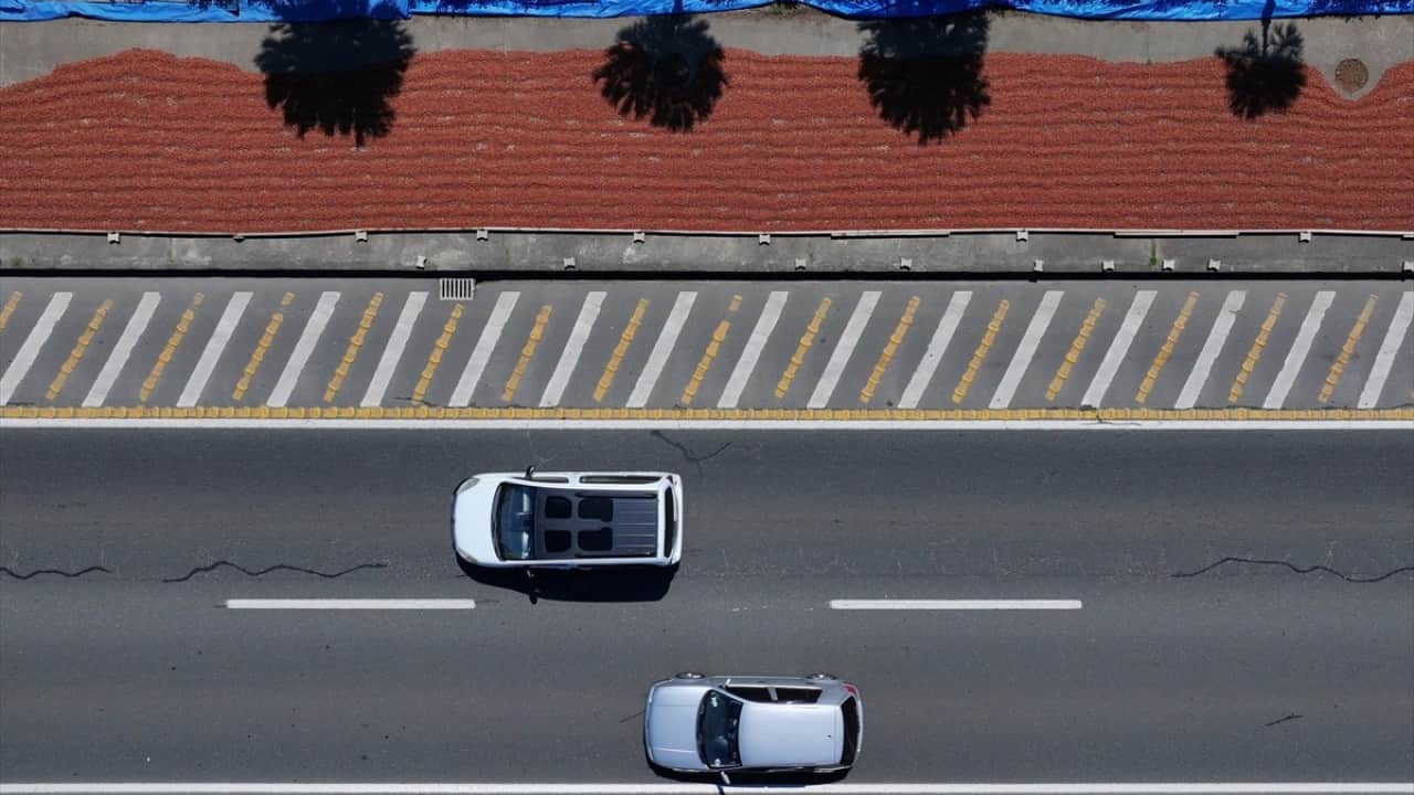 Foto - Yol kenarları işgal altında Karadeniz sahil yolunda fındık mesaisi