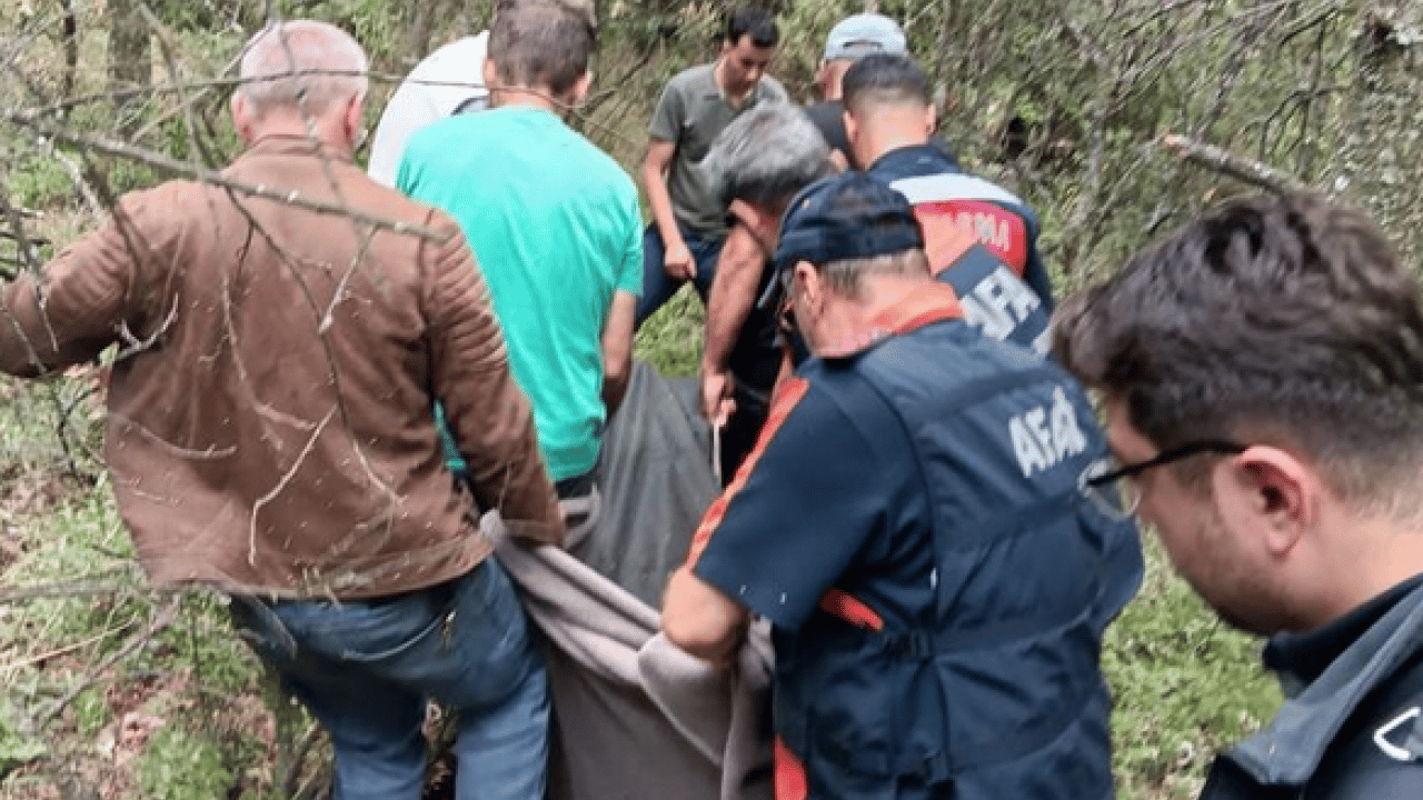 Foto - Yol kenarlarında yetişen bitkiyi toplamak için yola çıktı! Bu yol ölümüne sebep oldu!