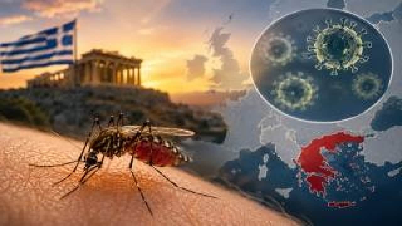 Foto - Yüksek yayılma riski sürüyor Batı Nil virüsü ülkeyi esir aldı