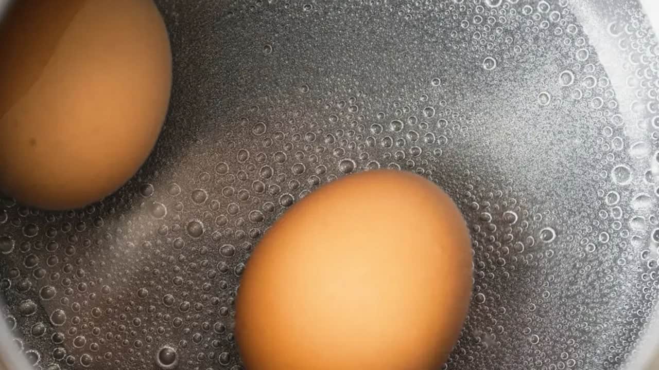 Foto - Yumurta alırken çoğu kişi bu yolu bilmiyor: Bu basit test her şeyi açıklıyor... Sakın ha sakın almayın
