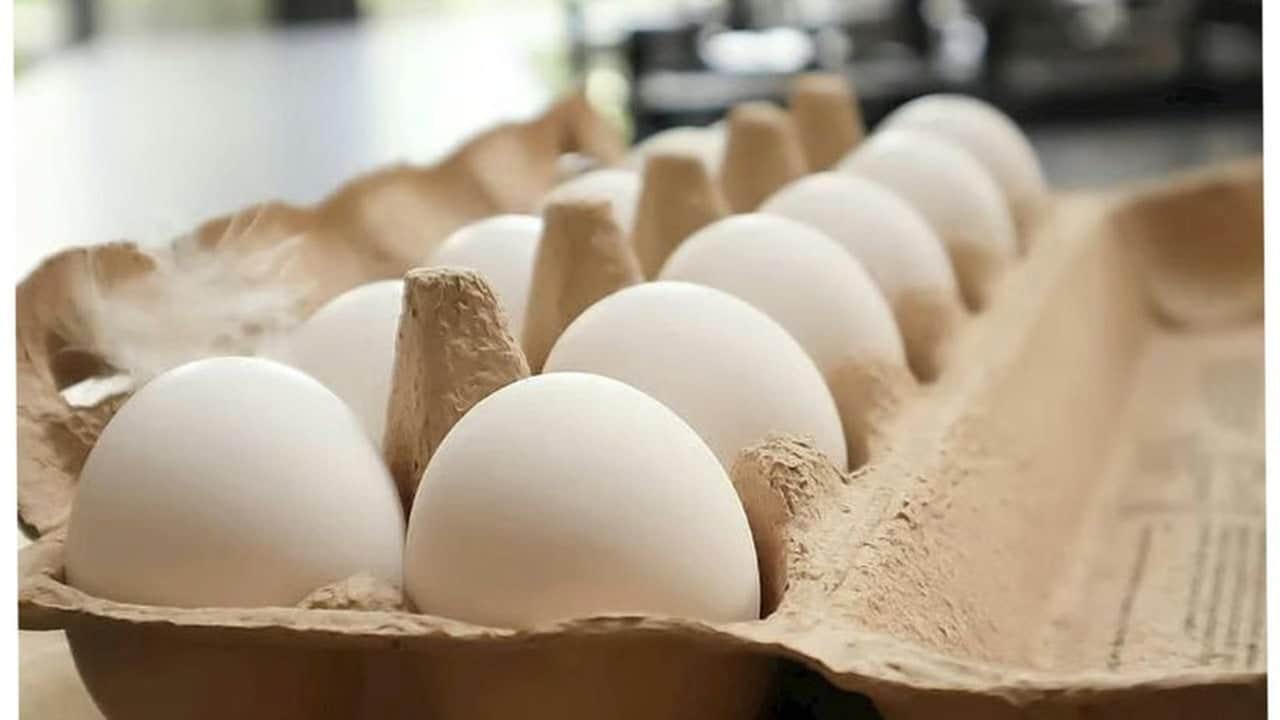 Yumurta alırken çoğu kişi farkına bile varmıyor: Kolideki bu işareti görürseniz sakın ha sakın almayın
