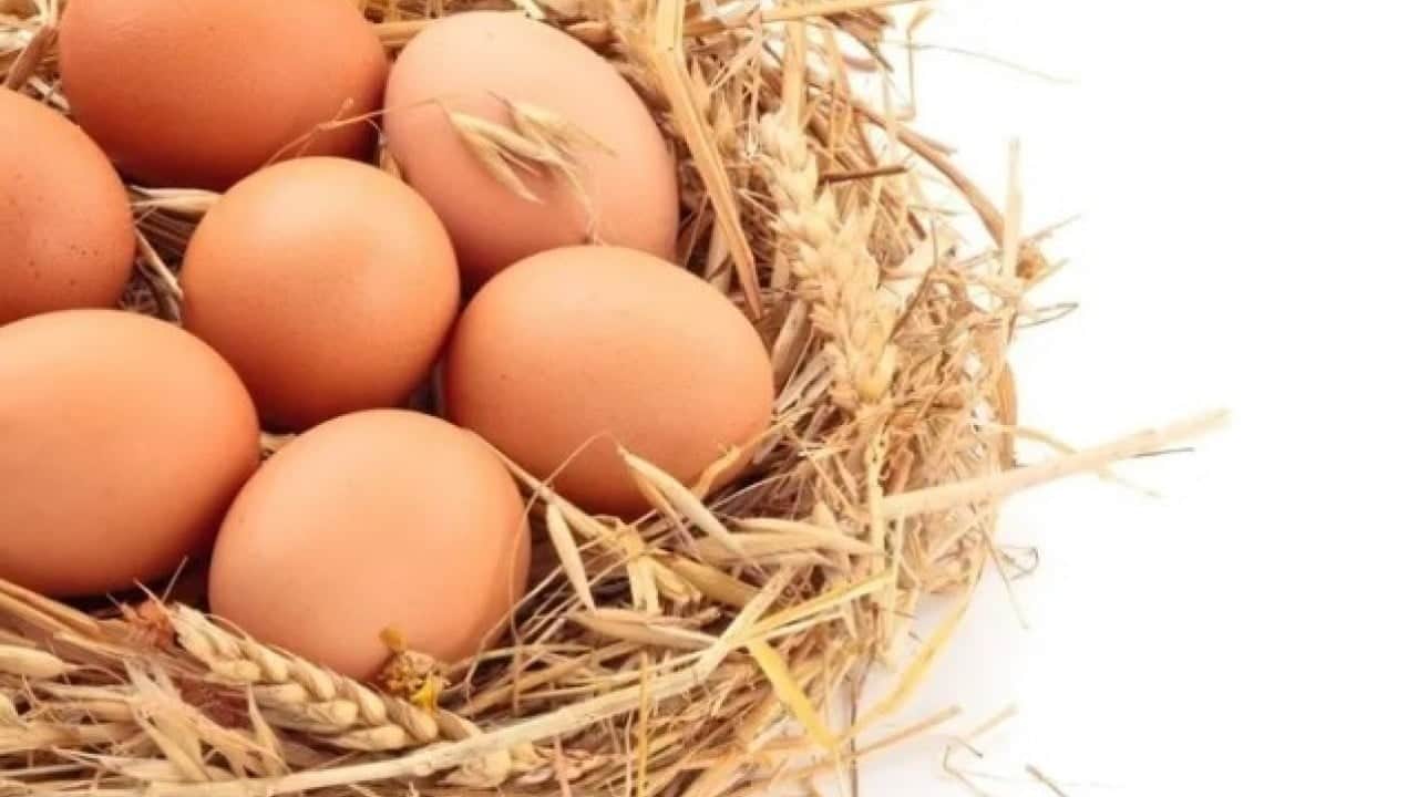 Foto - Yumurtayı buzdolabının kapağında saklayanlar dikkat! Uzmanlardan kritik uyarı