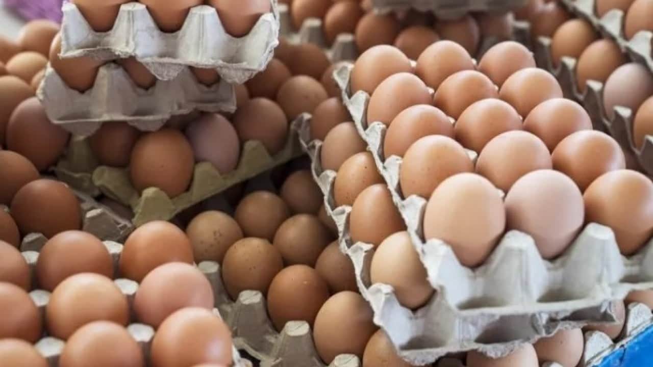 Foto - Yumurtayı buzdolabının kapağında saklayanlar dikkat! Uzmanlardan kritik uyarı