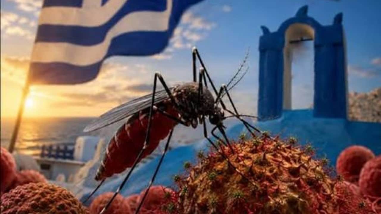 Foto - Yunanistan’da Batı Nil virüsünün yayılım alanı genişliyor