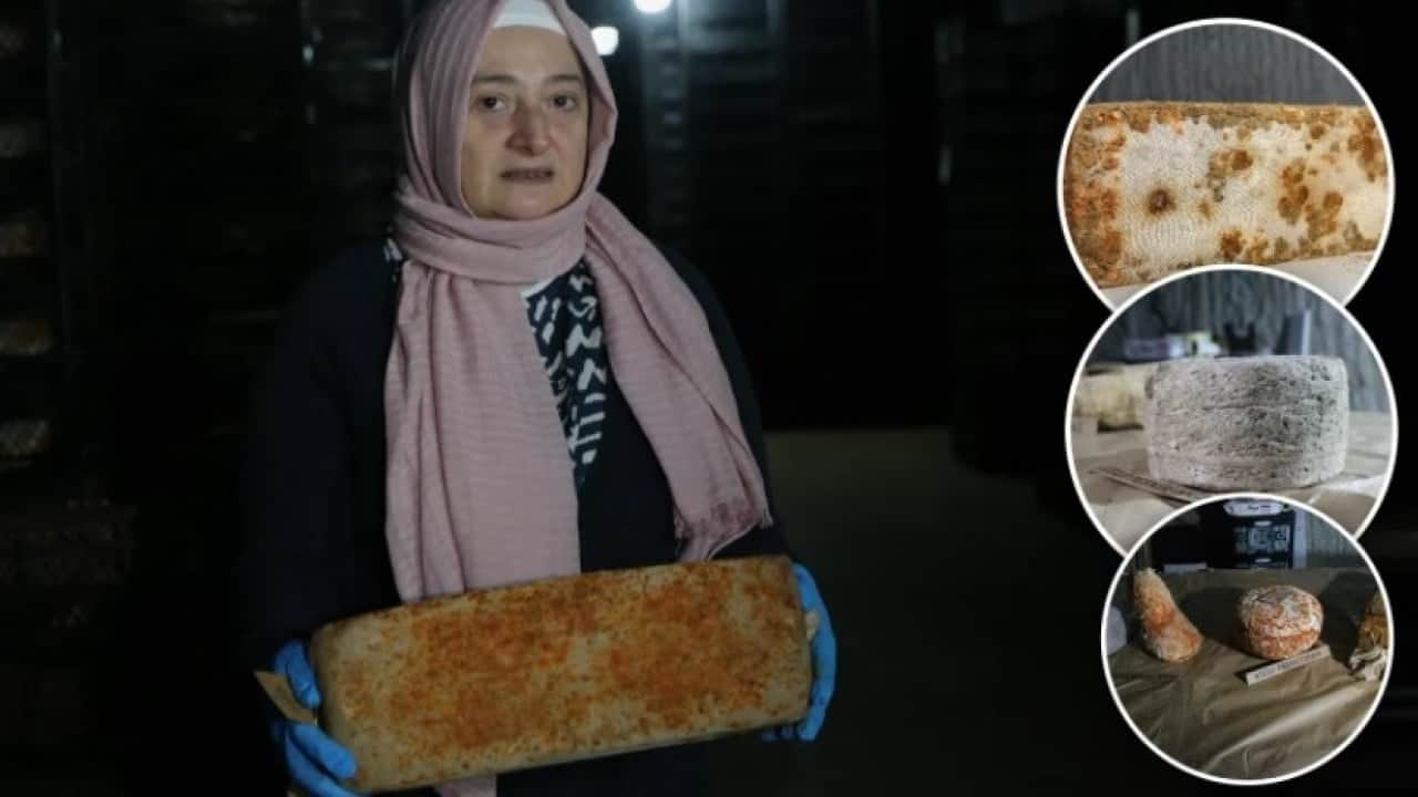 Yurt dışına kapış kapış satılıyor! 14 metre derinlikten sofralara