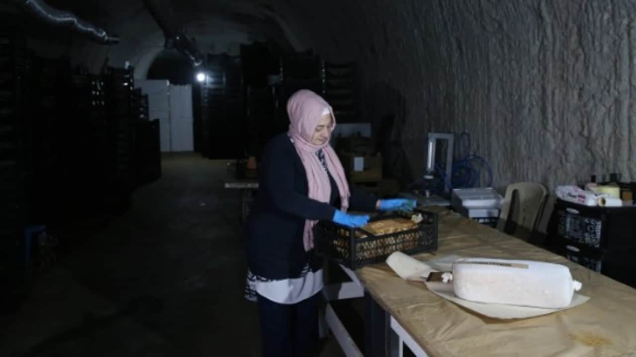 Foto - Yurt dışına kapış kapış satılıyor! 14 metre derinlikten sofralara