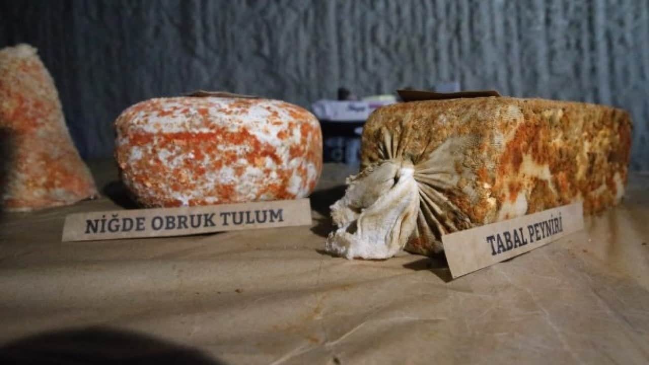 Foto - Yurt dışına kapış kapış satılıyor! 14 metre derinlikten sofralara