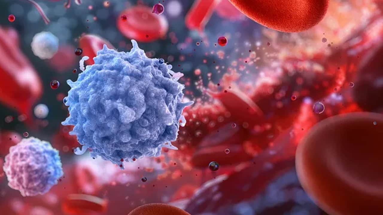 Foto - Japonların yüzyıllık sırrı ortaya çıktı: 'Kan grubu teorisi' yapılıyor