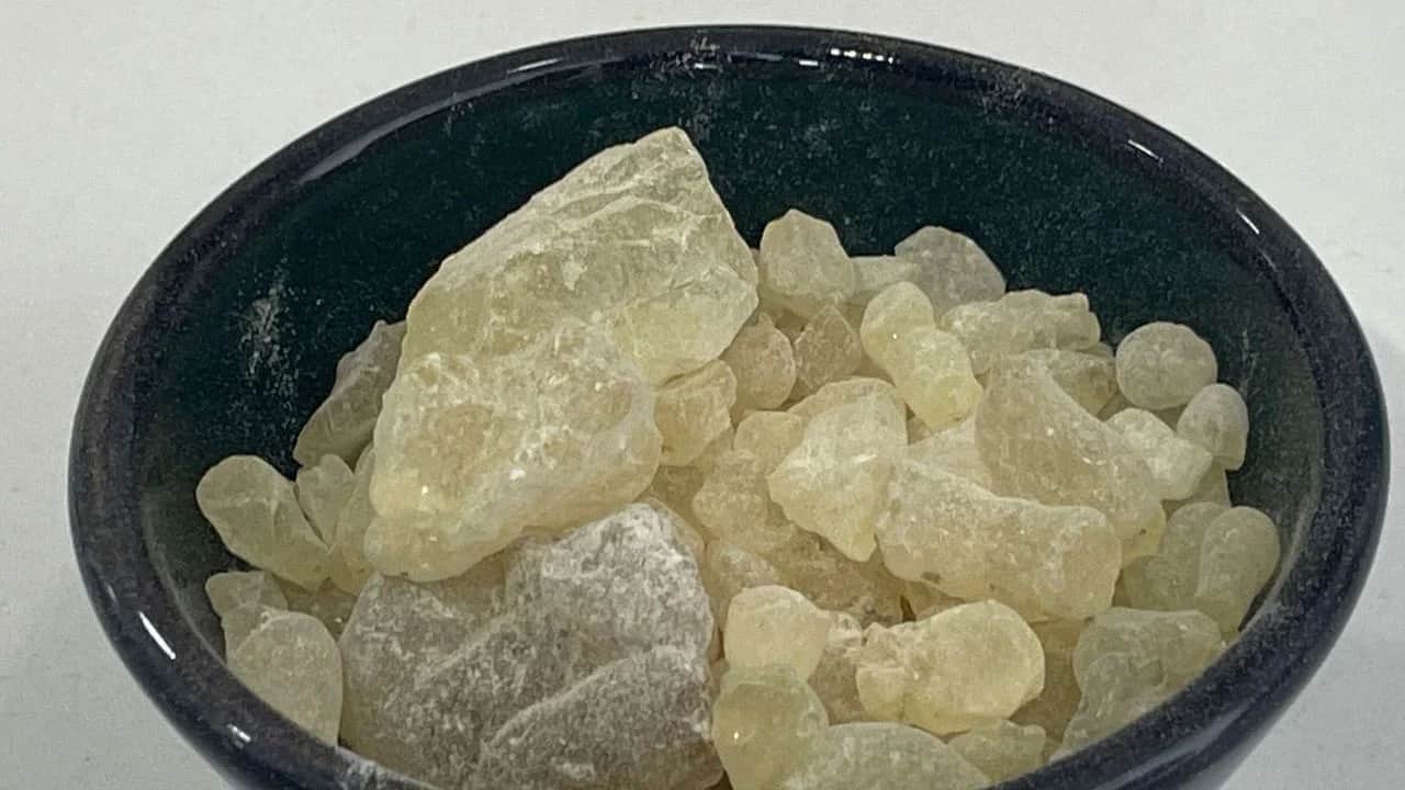 Zayıflamak isteyenler bu sakıza koşuyor! Zayıflama iğnesi yapma yıkıma yol açabilir