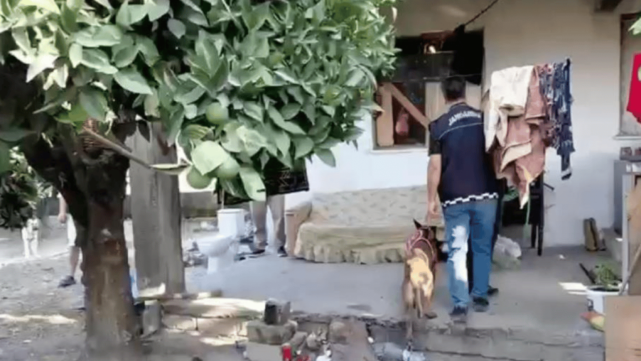 Foto - Zehir zulasına alçak kılıf! Kirli oyunlarını jandarma bozdu