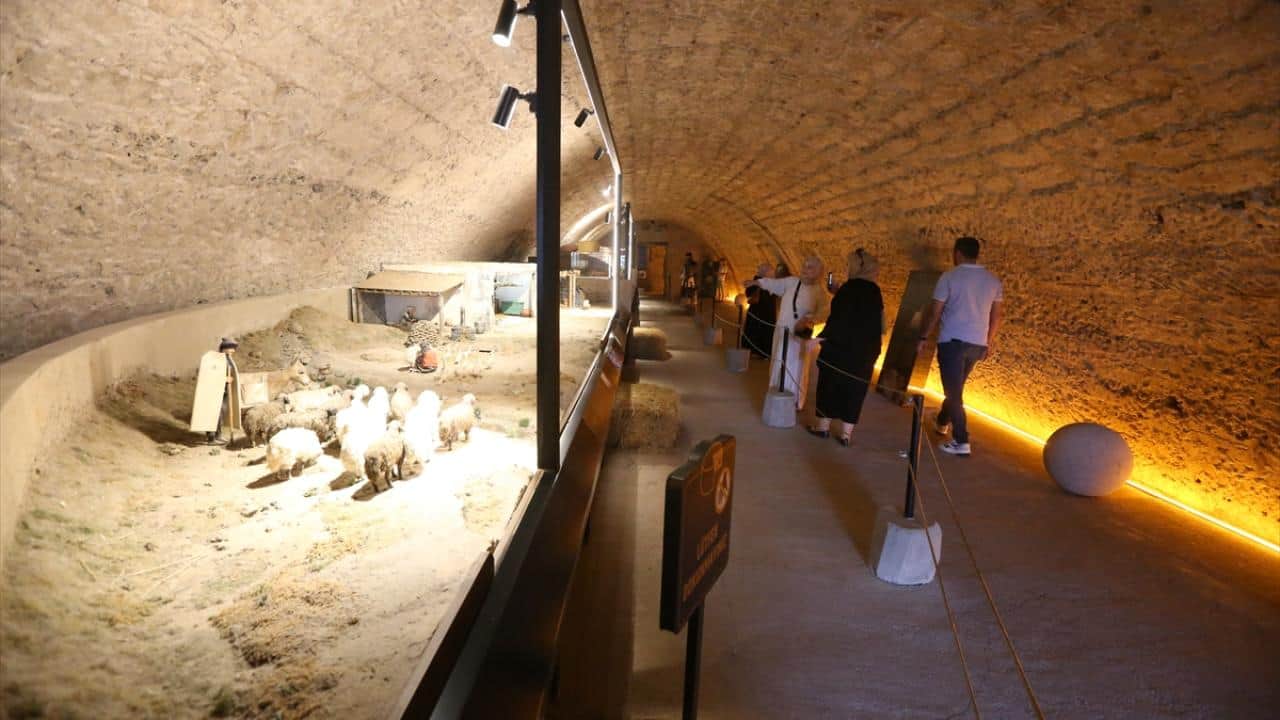 Ziyaretçi sayısı her yıl artıyor! Tarihi tabyada Kars'ın peynir kültürü sergileniyor