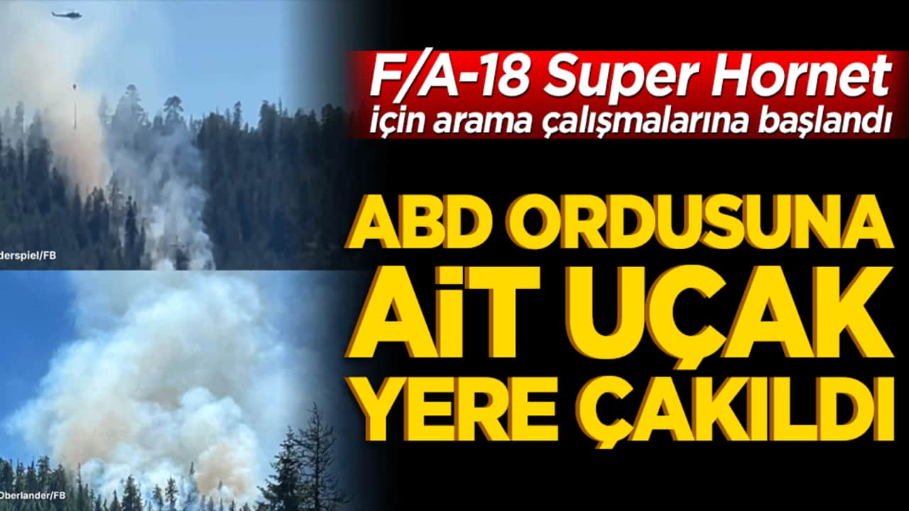 ABD ordusuna ait uçak yere çakıldı
