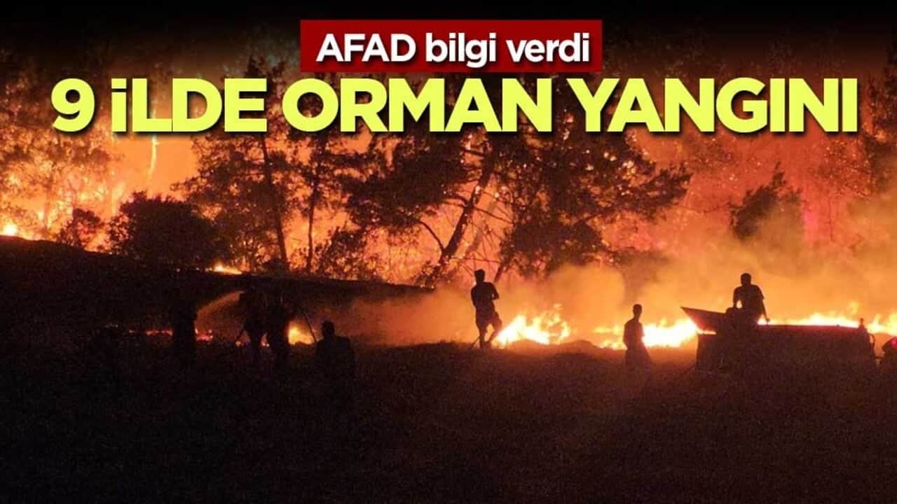 AFAD açıklama yaptı! 9 ilde orman yangını