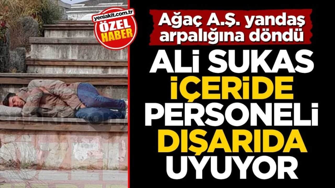 Ağaç A.Ş. yandaş arpalığına döndü! Ali Sukas içeride, personeli dışarıda uyuyor