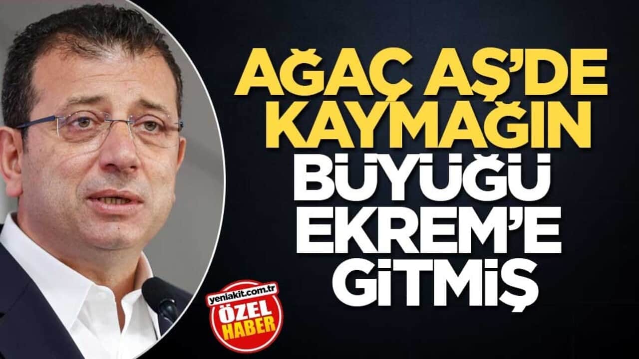 Ağaç AŞ’de kaymağın büyüğü Ekrem’e gitmiş