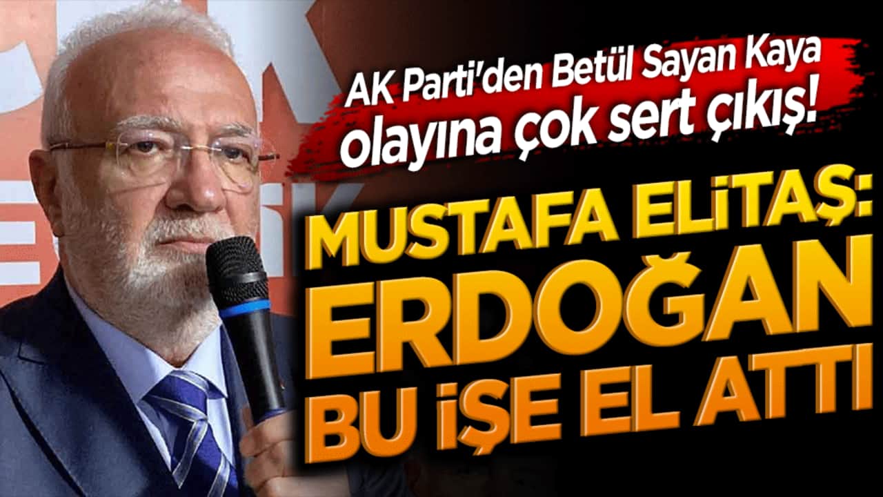 AK Parti'den Betül Sayan Kaya olayına çok sert çıkış! Mustafa Elitaş Erdoğan bu işe el attı dedi