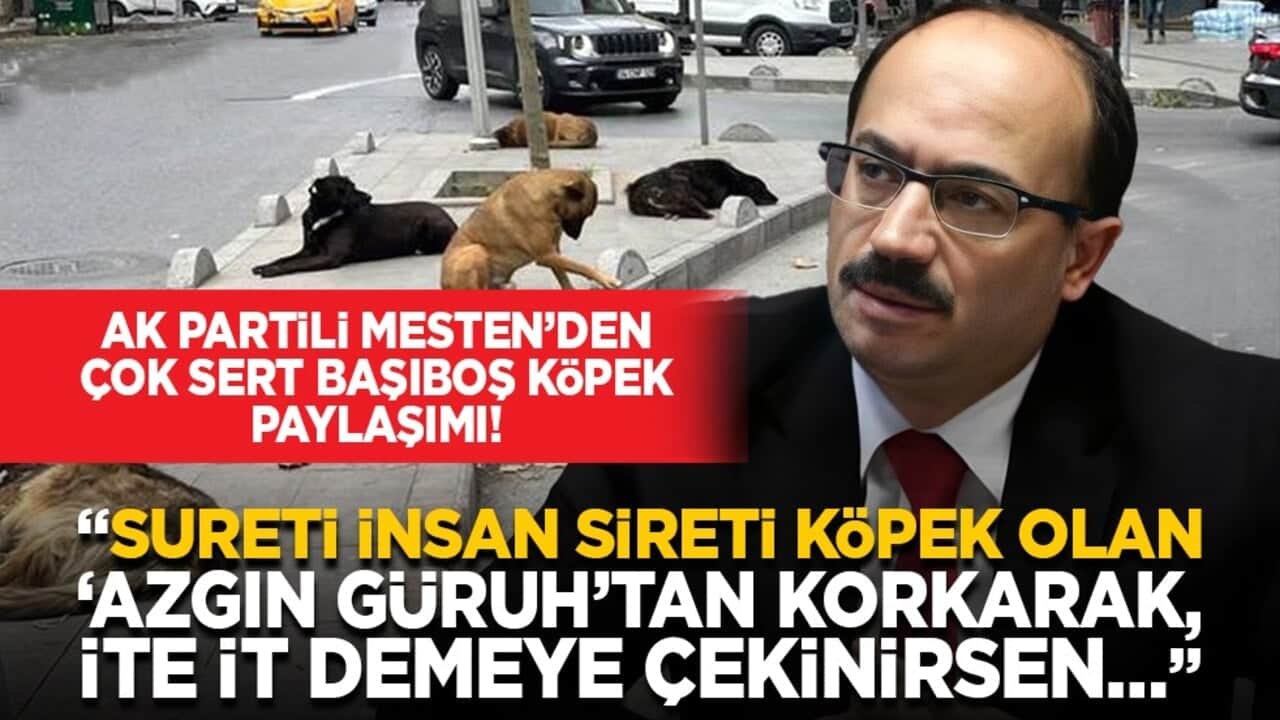 AK Partili Mesten’den çok sert başıboş köpek paylaşımı! "Sureti insan sireti köpek olan ‘azgın güruh’tan korkarak, ite it demeye çekinirsen…"