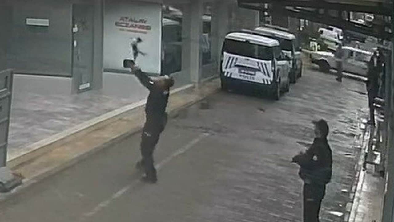 Apartmandan düşen kediyi polis havada yakaladı