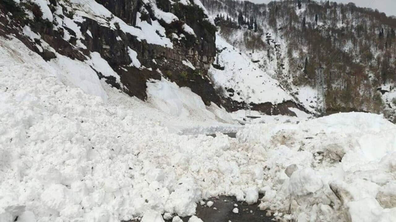 Artvin’de çığ faciası: 1 çobanın cansız bedenine ulaşıldı