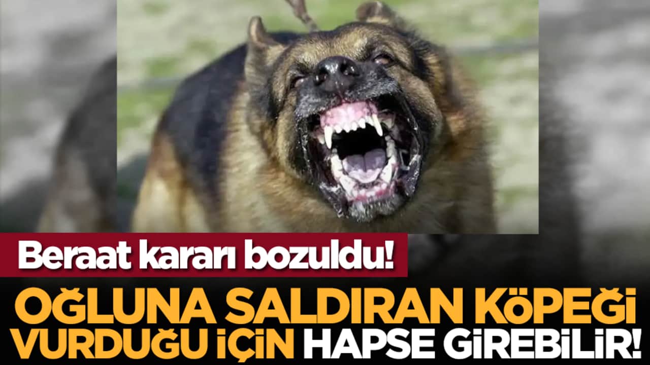 Beraat kararı bozuldu! Oğluna saldıran köpeği vurduğu için hapse girebilir!