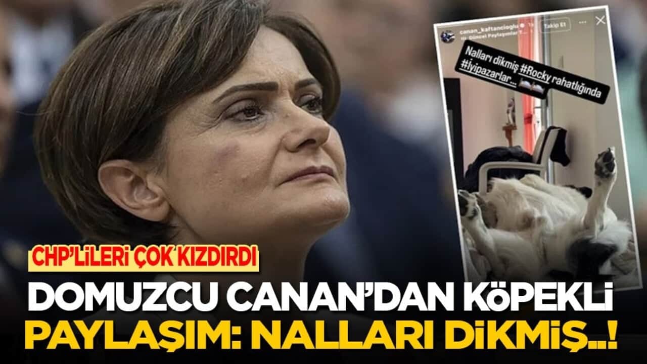 Biber gazından CHP Genel merkezinde göz gözü görmezken 'Domuzcu Canan’dan köpekli paylaşım: Nalları dikmiş Rocky..!