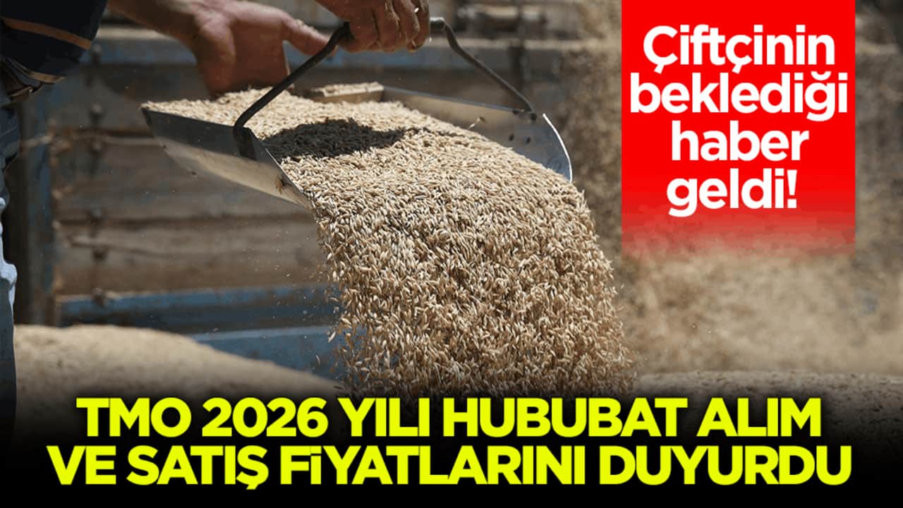 Çiftçinin beklediği haber geldi! TMO 2026 yılı hububat alım ve satış fiyatlarını duyurdu
