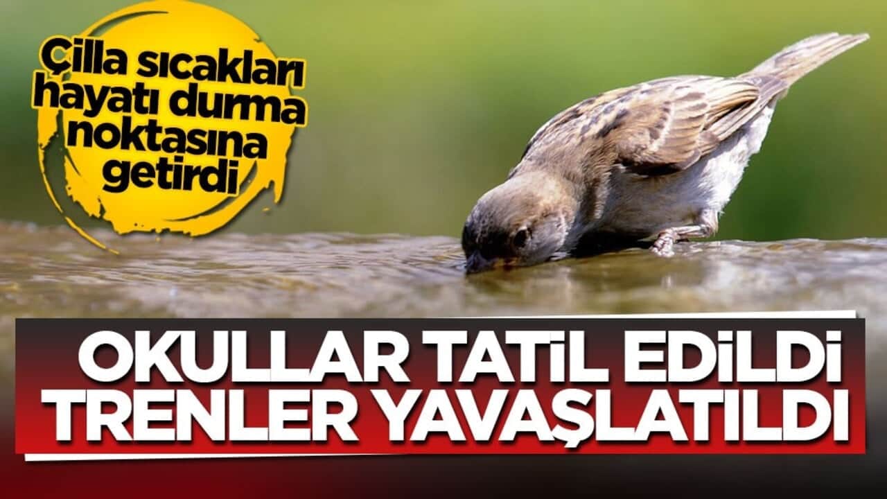 Çilla sıcakları hayatı durma noktasına getirdi! Okullar tatil edildi, trenler yavaşlatıldı