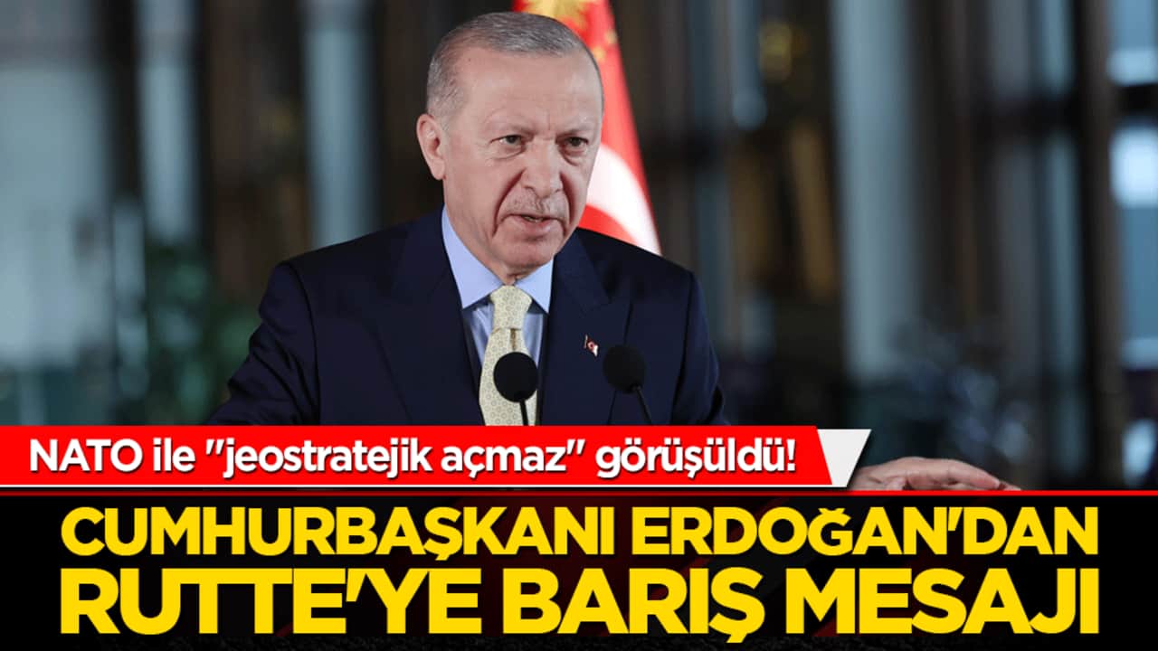 Cumhurbaşkanı Erdoğan'dan Rutte'ye barış mesajı