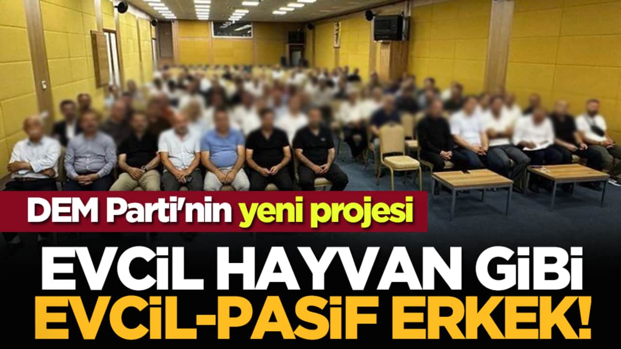 DEM Parti'nin yeni projesi: Evcil hayvan gibi evcil-pasif erkek!