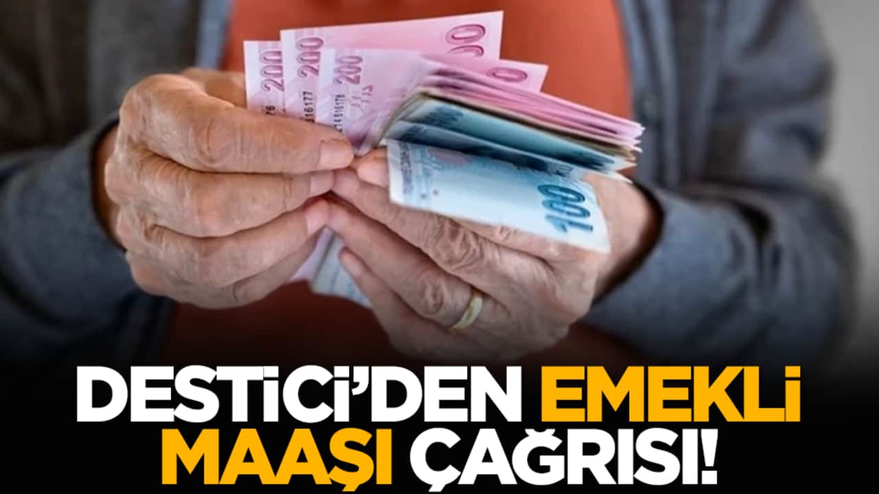 Destici’den emekli maaşı çağrısı!