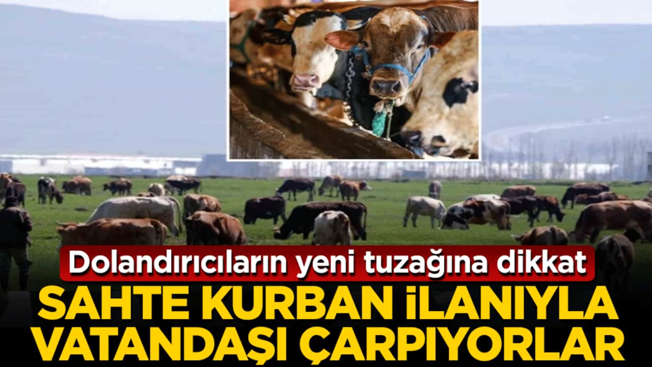 Dolandırıcıların yeni tuzağına dikkat! Sahte kurban ilanıyla vatandaşı çarpıyorlar