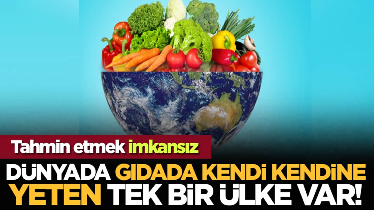 Dünyada gıdada kendi kendine yeten tek bir ülke var! Tahmin etmek imkansız