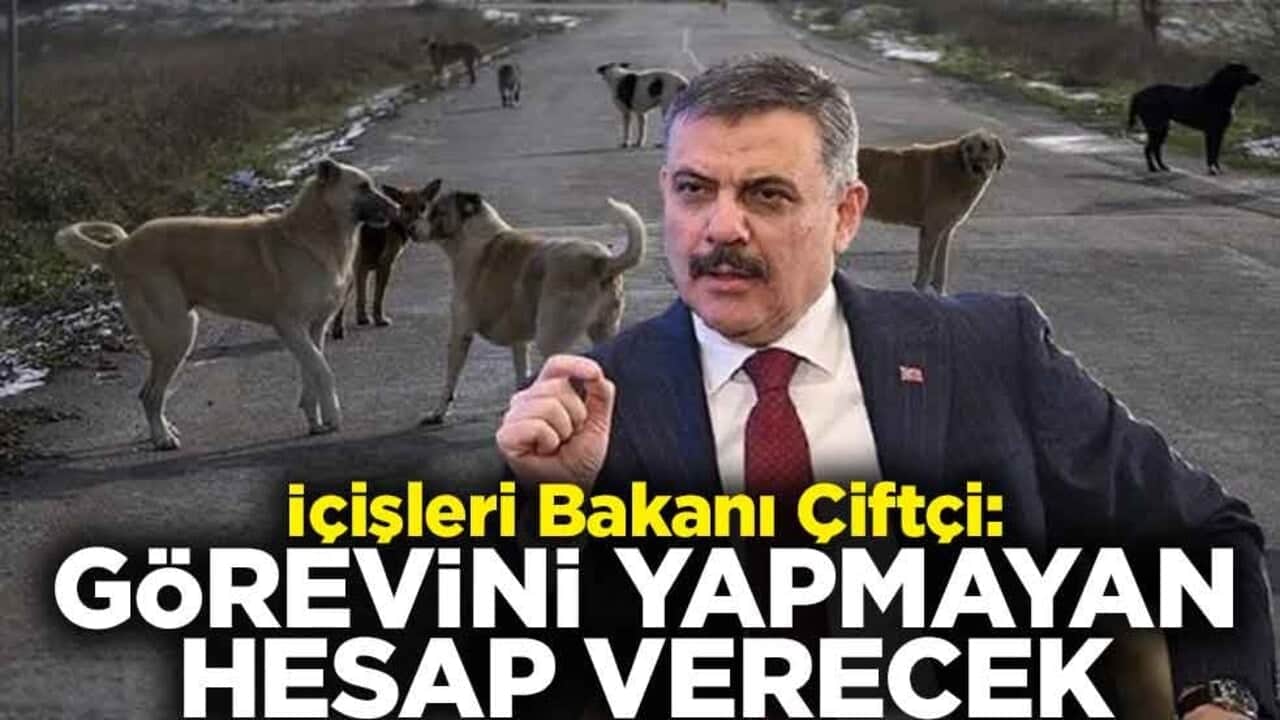 "Ekim ayına kadar başıboş köpek sorununu çözeceğiz" İçişleri Bakanı Çiftçi: Görevini yapmayan hesap verecek