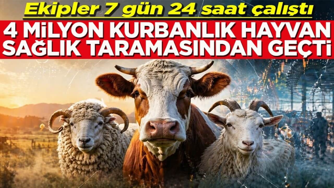 Ekipler 7 gün 24 saat çalıştı 4 milyon kurbanlık sağlık taramasından geçti