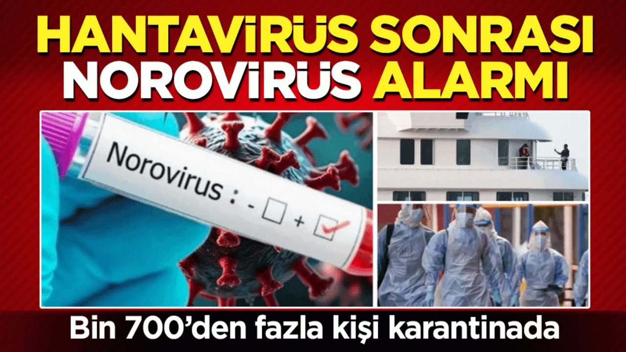Fransa’da Hantavirüs sonrası Norovirüs alarmı: Bin 700’den fazla kişi karantinada