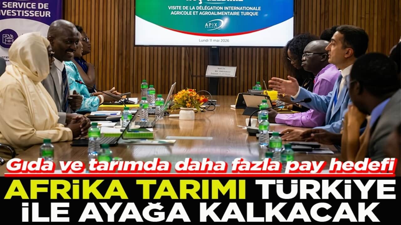 Gıda ve tarımda daha fazla pay hedefi Afrika tarımı Türkiye ile ayağa kalkacak