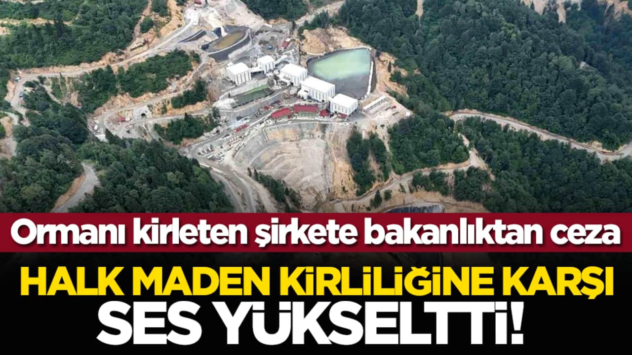 Halk maden kirliliğine karşı ses yükseltti! Ormanı kirleten şirkete bakanlıktan ceza