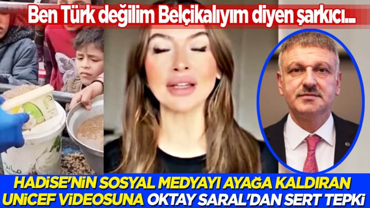'Help Turkey’ zihniyeti yine sahnede! Hadsiz Hadise'ye Oktay Saral'dan sert tepki!