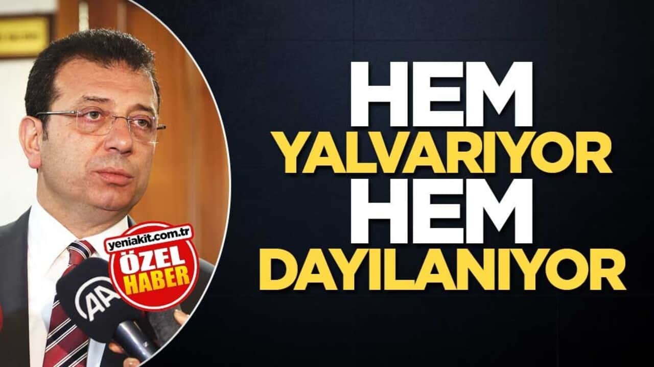 Hem yalvarıyor hem dayılanıyor