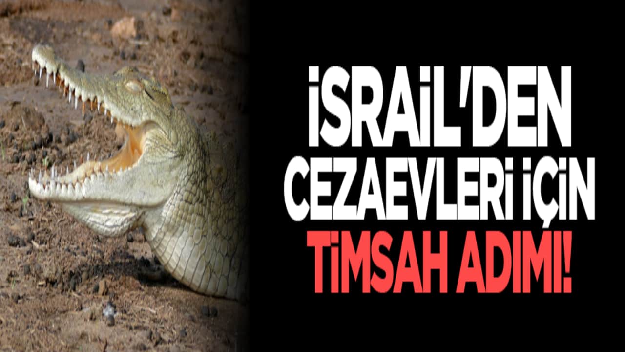 İsrail'den Cezaevleri İçin Timsah Adımı!