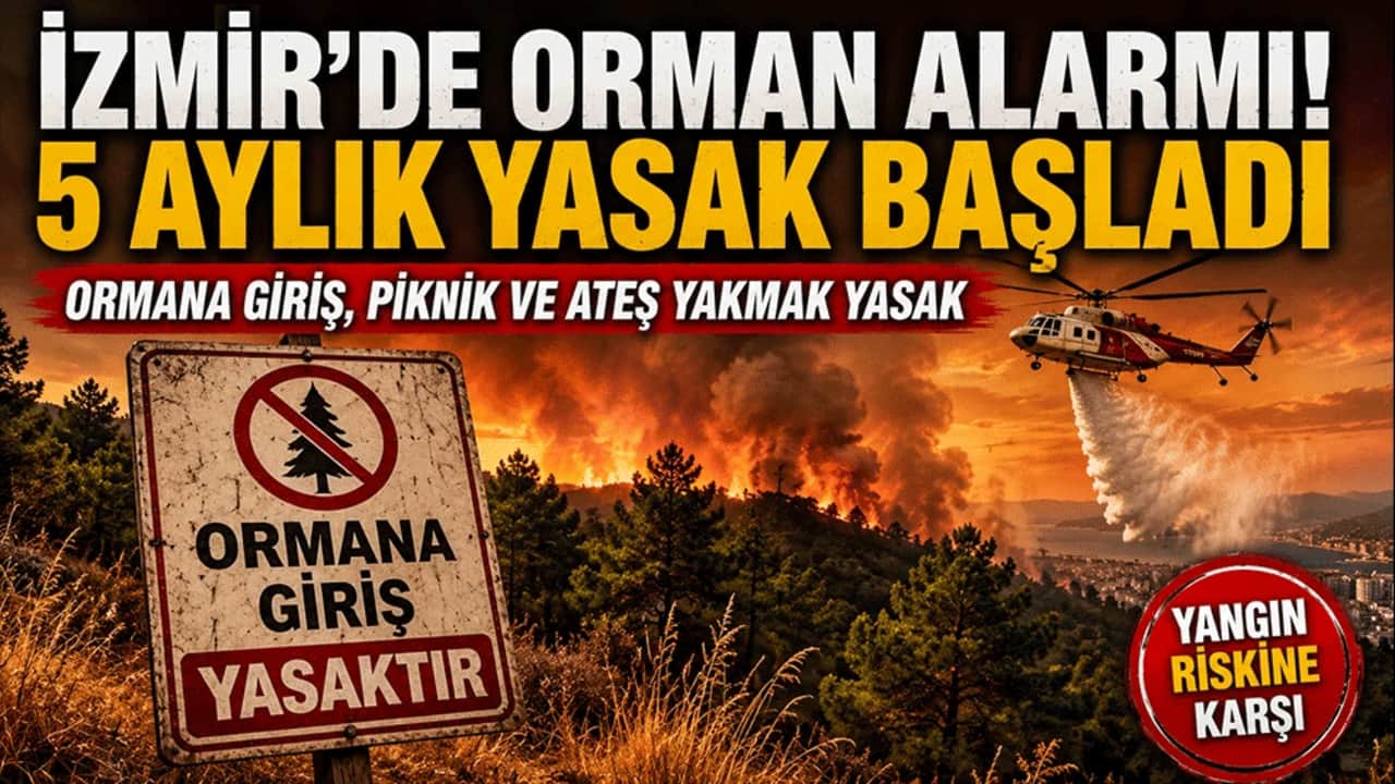 İzmir'de orman alarmı! Valilik 5 aylık yasak kararı aldı